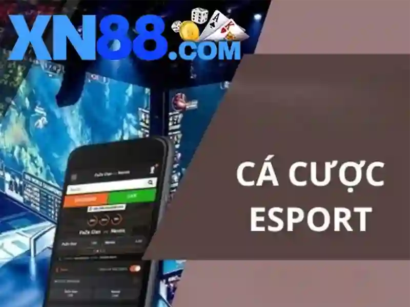 Cấu trúc và chức năng chính