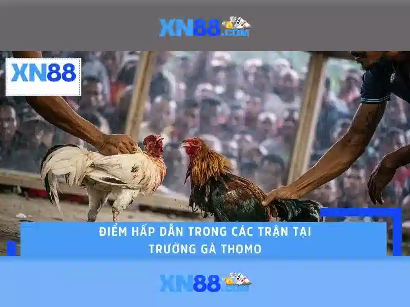 Cau hinh an toan va bao mat tai xn88