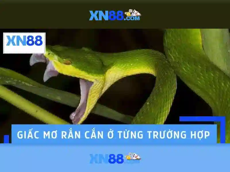 Tính năng nổi bật của xn88