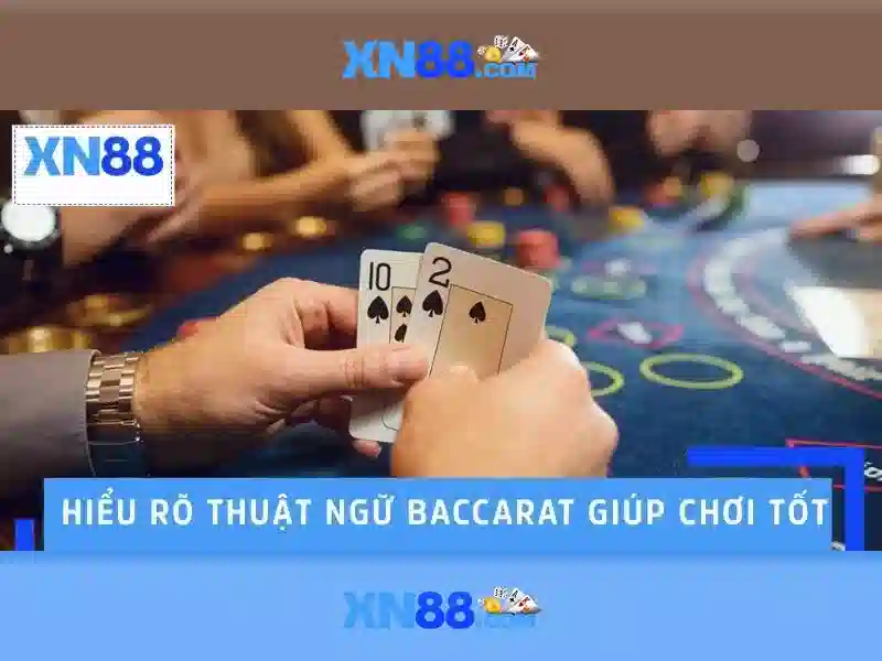 Giới thiệu về xn88
