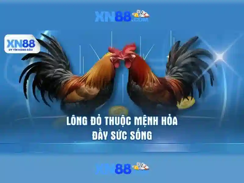 Các sản phẩm và trò chơi