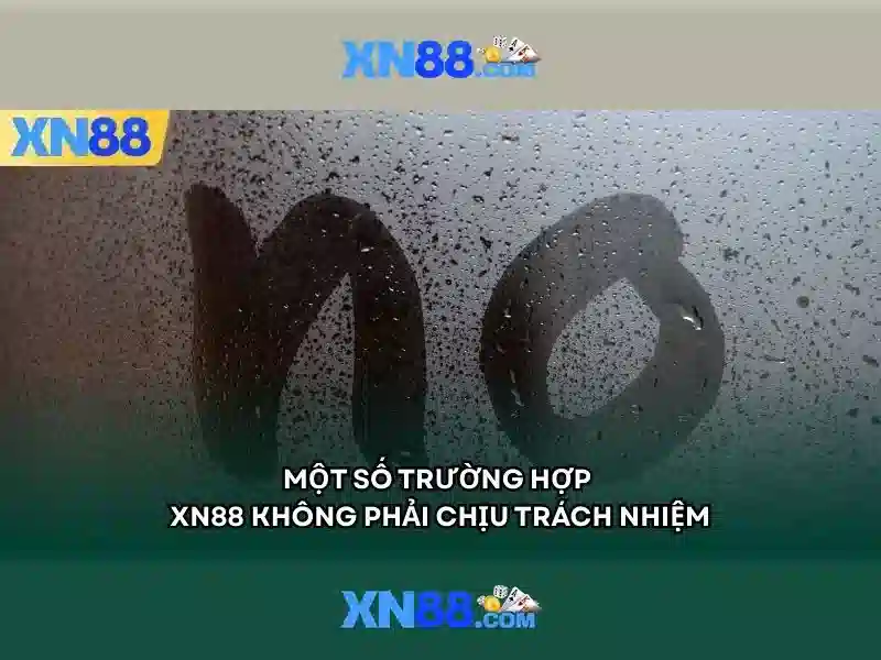 Giao diện nhà cái hoàn hảo