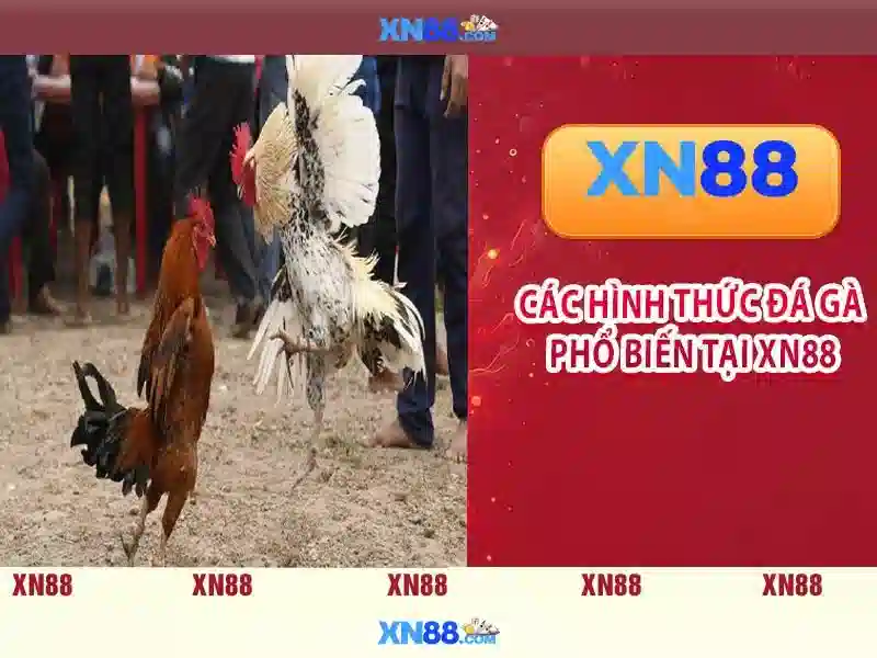 Độ tin cậy và an toàn