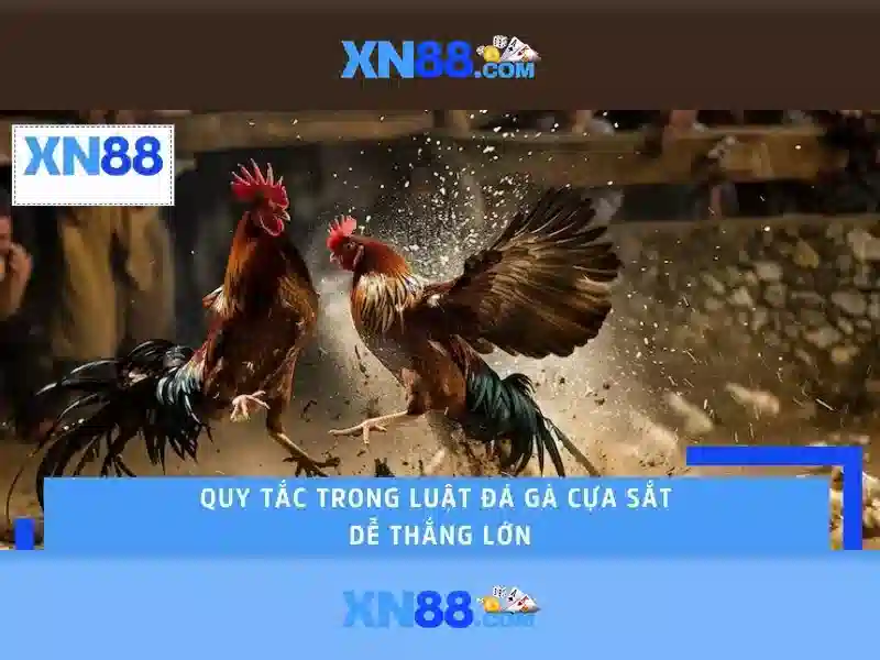 <!--IMG_PLACEHOLDER alt>An toàn và pháp lý-->