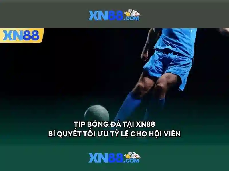 Nguồn gốc và phát triển