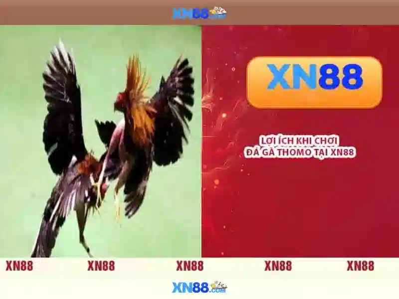 xn88 là gì và nó hoạt động như thế nào?