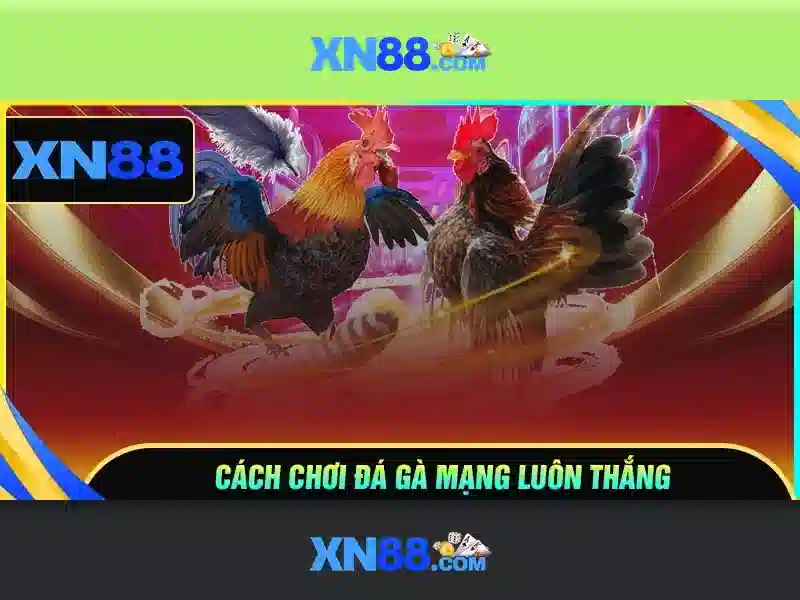 Lịch sử và phát triển của xn88
