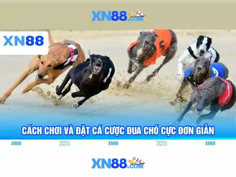 Nền tảng và công nghệ đằng sau xn88