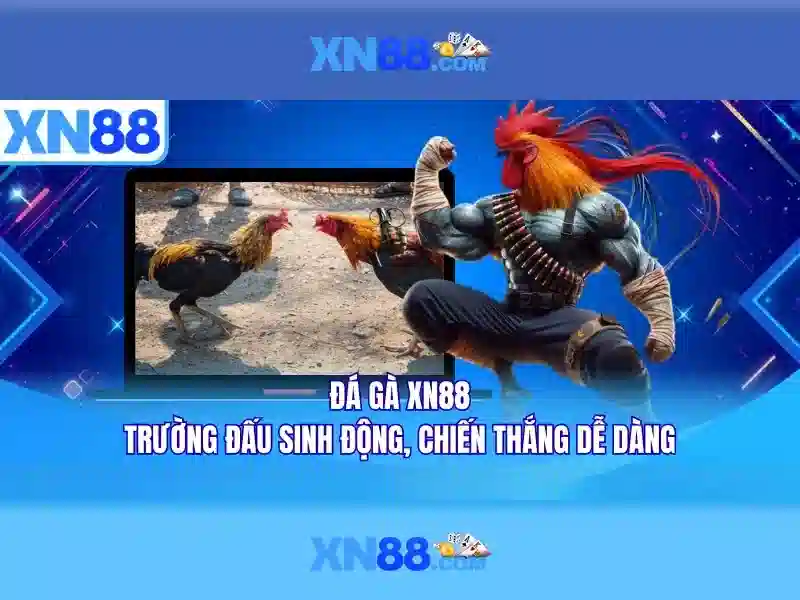Giới thiệu về xn88