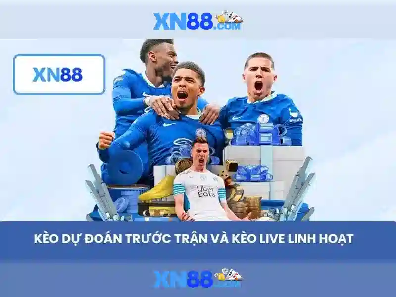 Kết luận và thông tin liên hệ