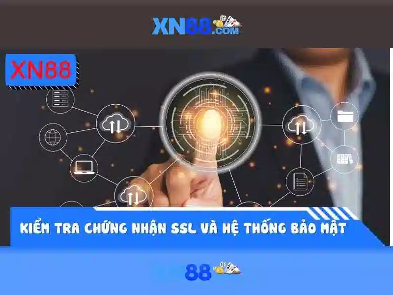 Dòng sản phẩm và trải nghiệm người dùng