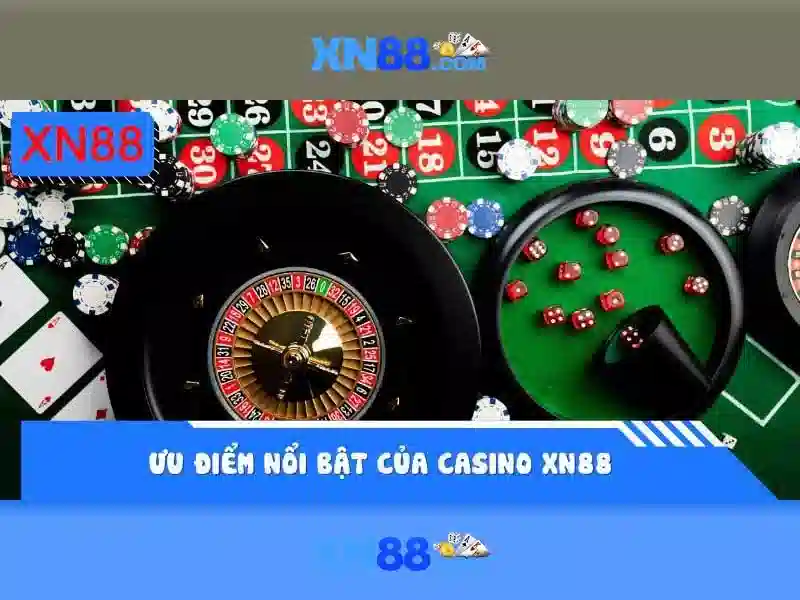 Lĩnh vực hoạt động và sản phẩm