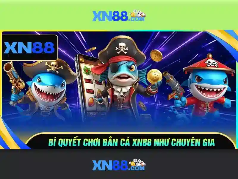 Nền tảng và chức năng