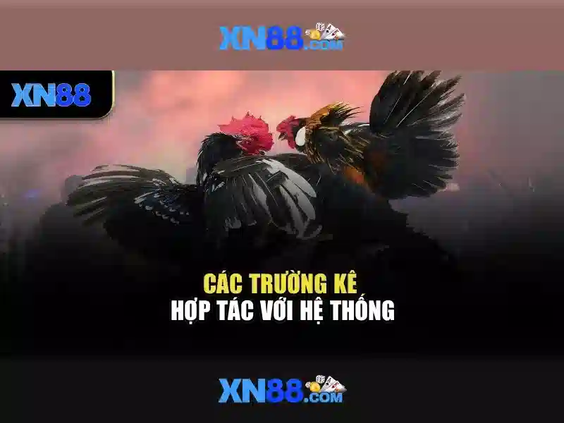 Các dịch vụ và tính năng