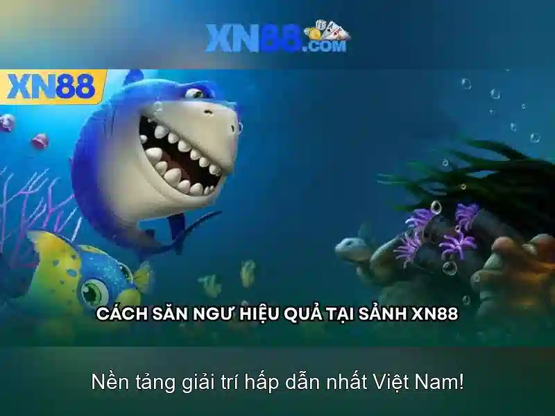 Giới thiệu về xn88