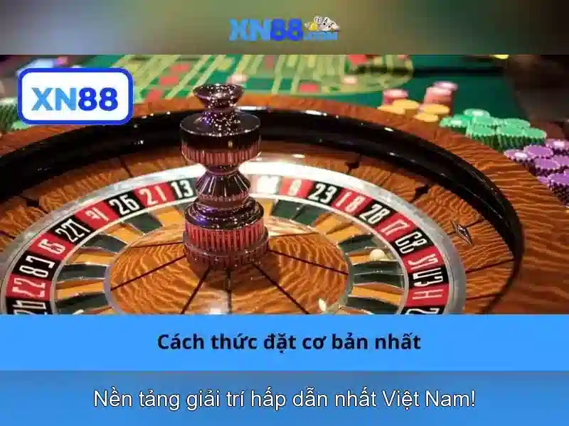 Giới thiệu về xn88