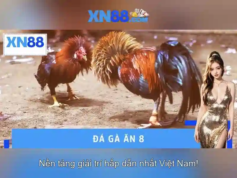xn88 - Nền tảng chơi game và đánh bạc trực tuyến đáng tin cậy Giao diện nhà cái hoàn hảo