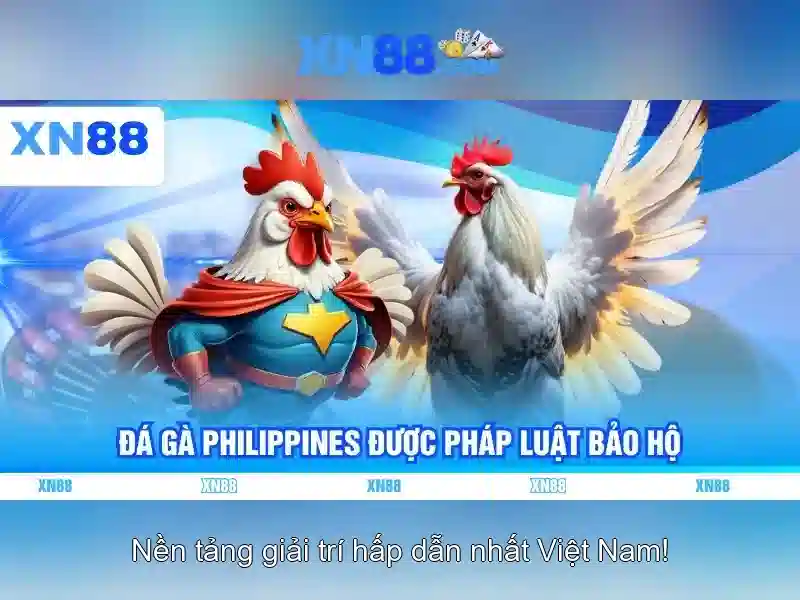 Cach_bat_dau_xn88