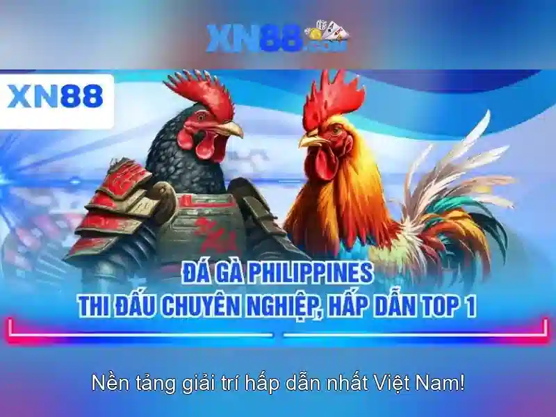 Giới thiệu về xn88