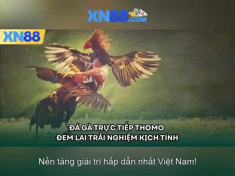 xn88 - Nền tảng cá cược trực tuyến uy tín và an toàn Giao diện nhà cái hoàn hảo