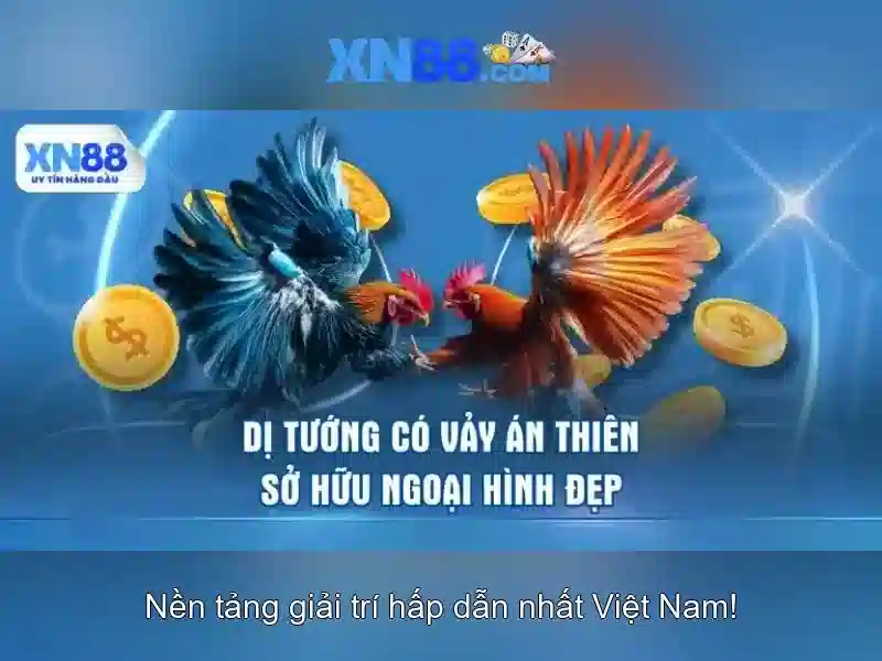 An toàn và bảo mật trên XN88