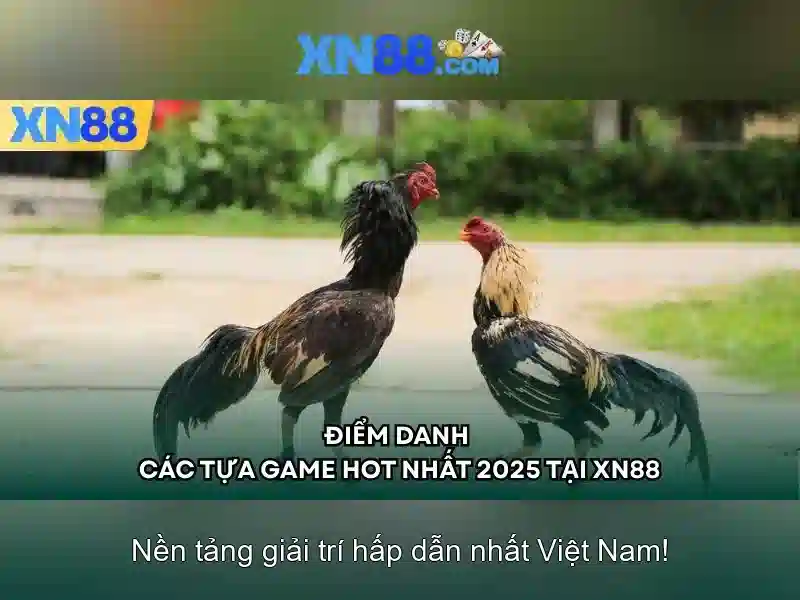 Ứng dụng của xn88 trong công nghệ