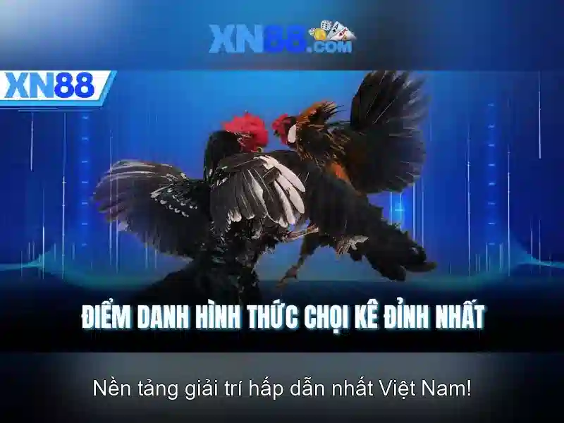 Kết luận về xn88