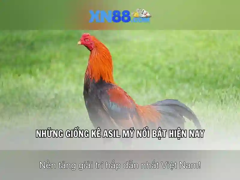 An toàn và bảo mật