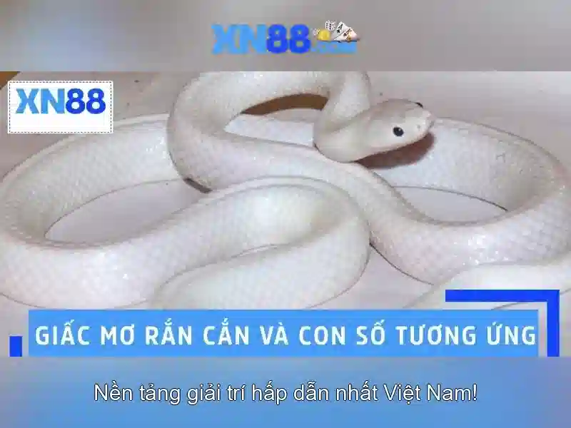Giới thiệu về xn88