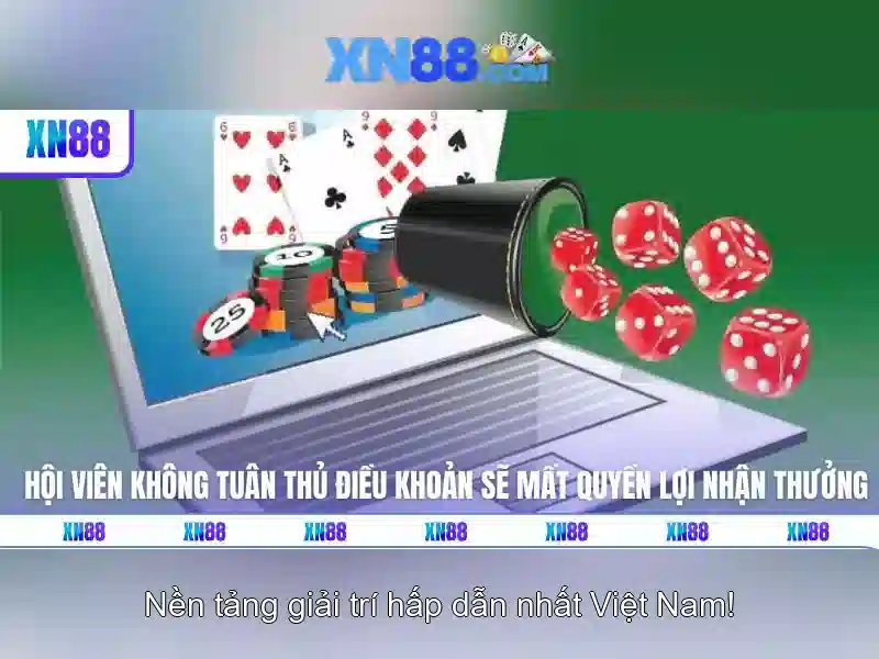 Lịch sử và nguồn gốc của XN88
