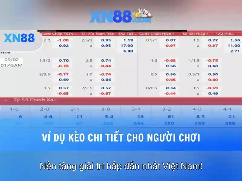 Hướng dẫn tham gia và thanh toán