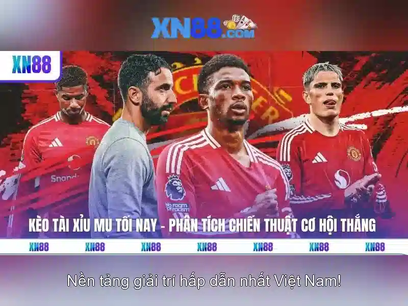 Một cái nhìn tổng quan về xn88 Giao diện nhà cái hoàn hảo