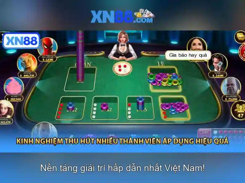 Giao diện nhà cái hoàn hảo