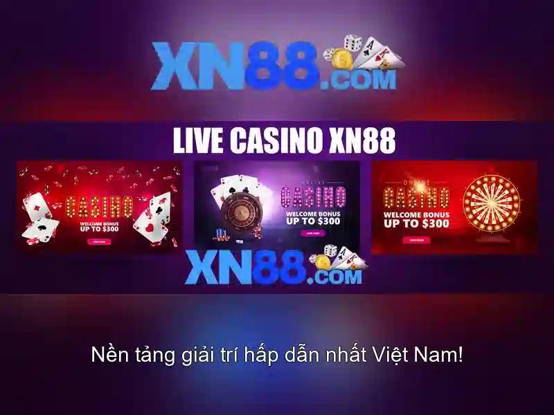 Trải nghiệm người dùng và cộng đồng