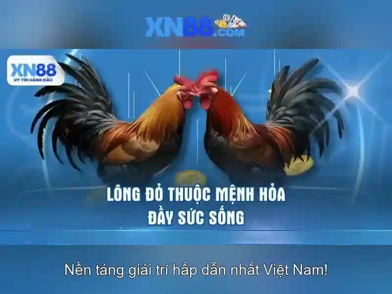 An toàn và uy tín trên xn88
