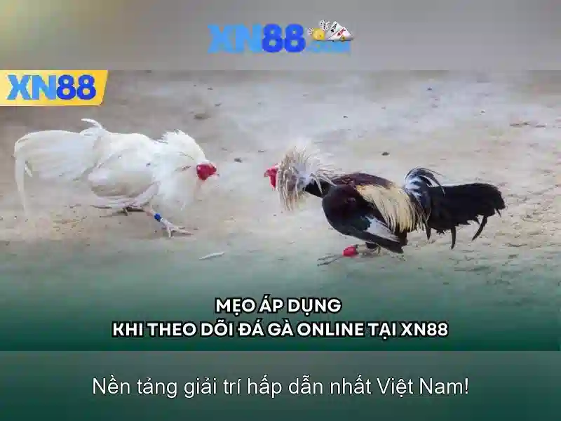 Giới thiệu về xn88