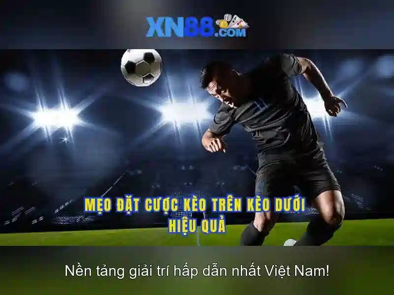 Hướng dẫn đăng ký và nhận thưởng