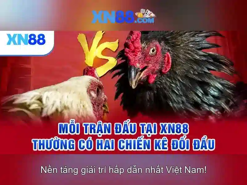 Giới thiệu về xn88 và những điều người chơi cần biết Giao diện nhà cái hoàn hảo