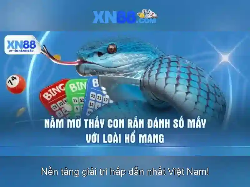 Trò chơi và trải nghiệm người dùng