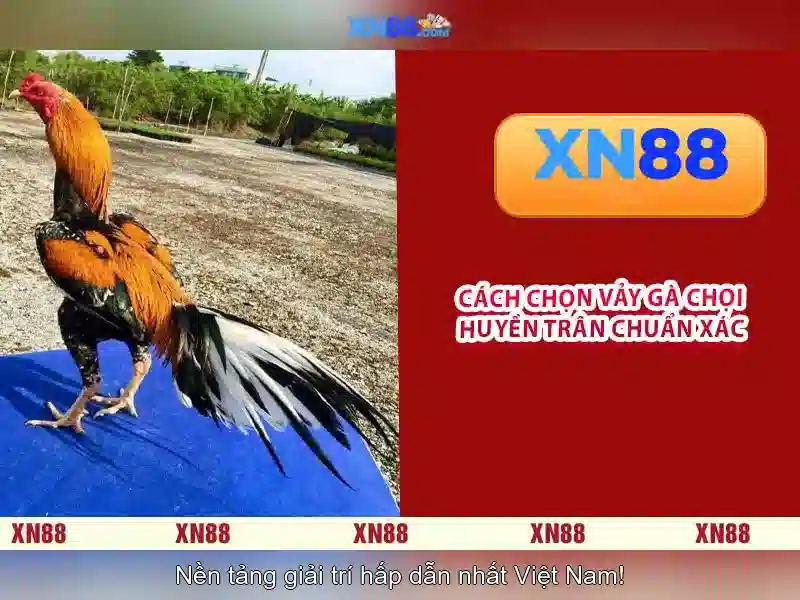 xn88 là gì và những đặc điểm nổi bật Giao diện nhà cái hoàn hảo