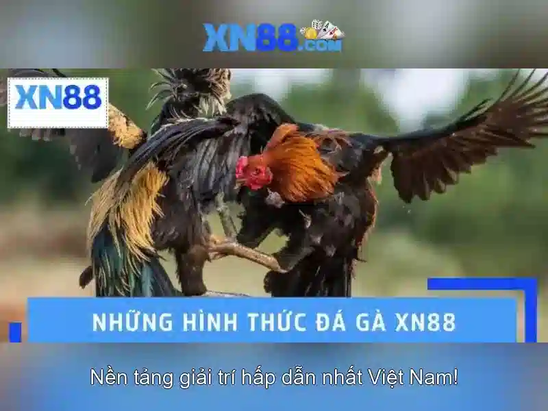 An toàn và bảo mật