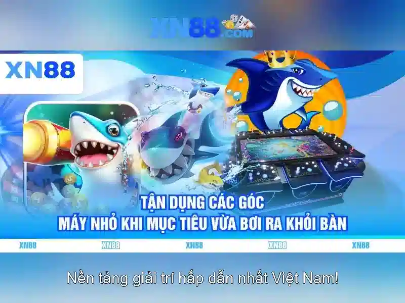 Pháp lý và các khía cạnh pháp lý liên quan