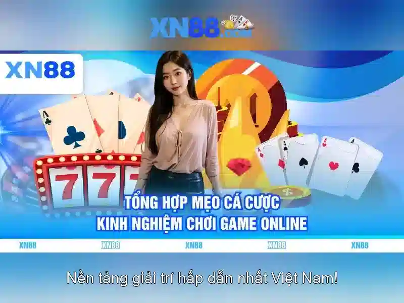 Các đặc điểm nổi bật