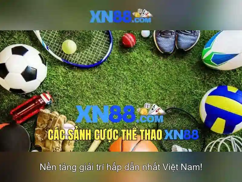 Giao diện nhà cái hoàn hảo