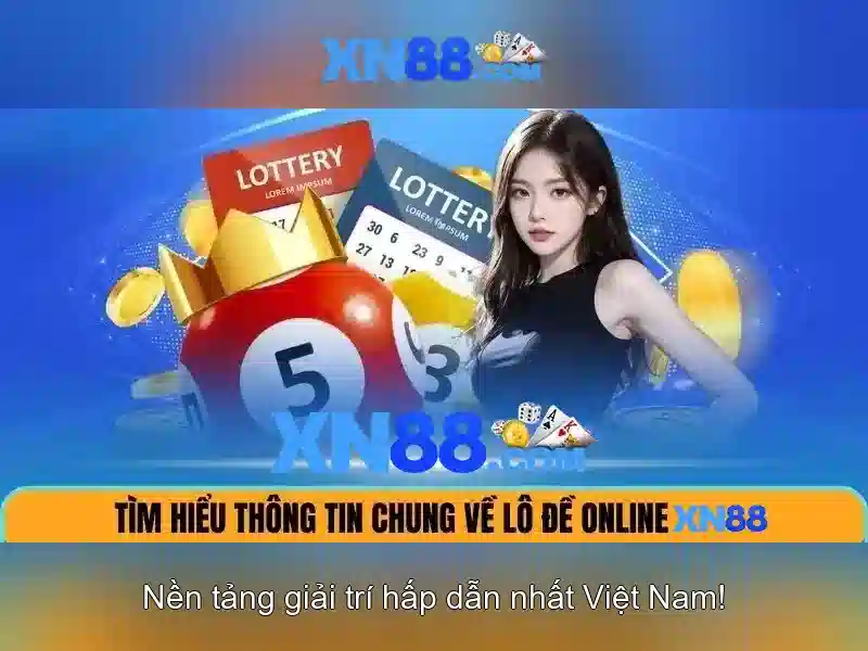 Điều khoản và trách nhiệm