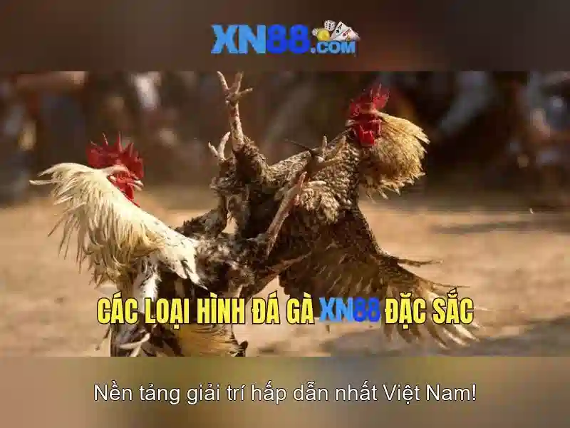 Minh hoa ung dung xn88 tren dien thoai