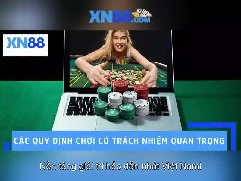 Giới thiệu về XN88